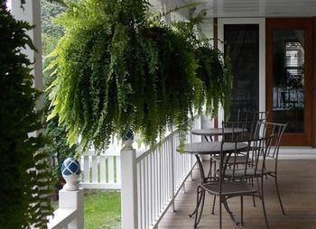 Bed & Breakfast Finlay House - On - The - 3*